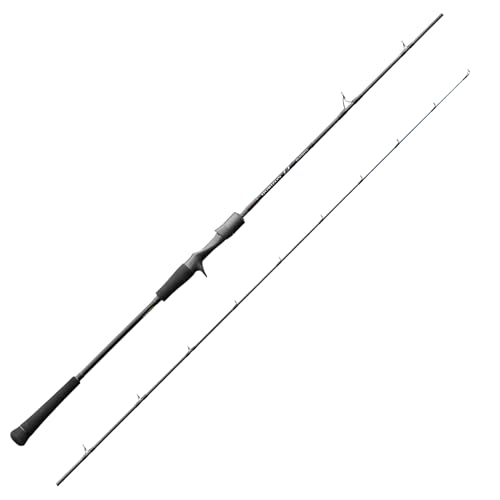 ※はるか　RENEGADE BAIT JIGGING ROD No.2 TENRYU 25 HORIZON LJ HLJ632B-FL Light-Jigging Baitcasting Rod