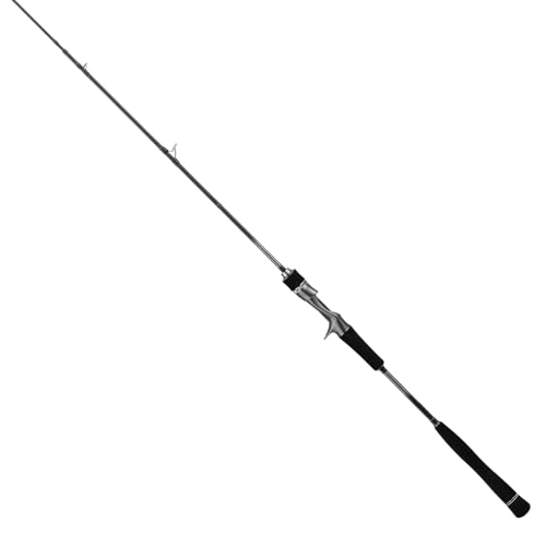 Tailwalk 25 Tai Game SD C67ML/LSL Baitcasting Rod 4516508173888