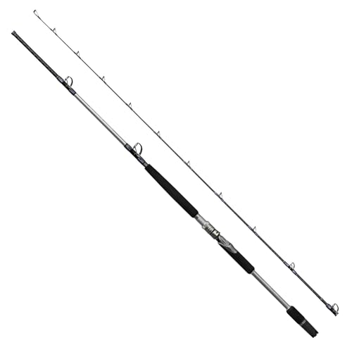 Shimano 24 REALANCER OTOSHIKOMI 73MH245 Big Game Rod 4969363272195