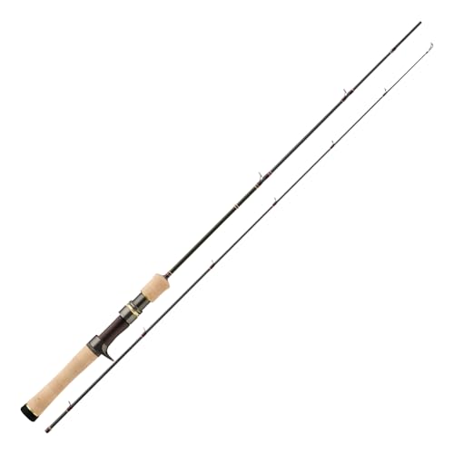 Major Craft Finetail FFB-6112ML トラウトロッド Major Craft Finetail Glass FSG-B632L+ Baitcasting Rod for Trout