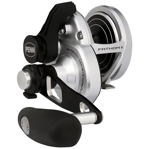 PENN International FATHOM II 2 Speed 15XNLD2 Baitcasting Reel