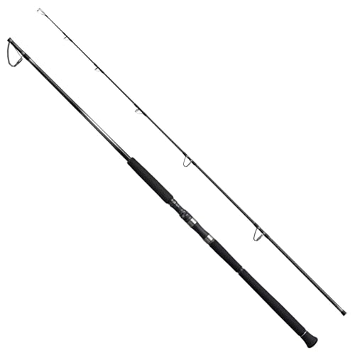 Shimano 25 OCEA PLUGGER Limited S83H Spinning Rod 4969363393241