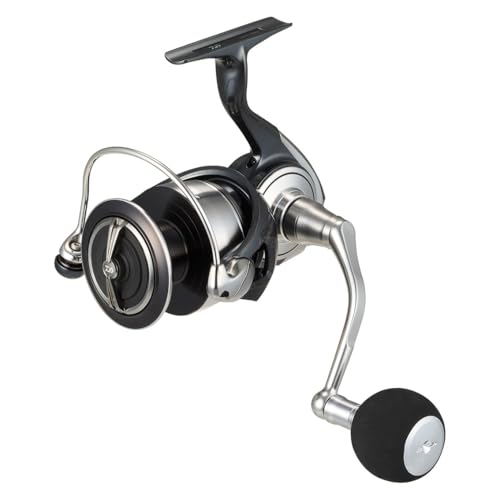 Daiwa 24 CERTATE SW 6000-H Spinning Reel 4550133400049 – North-One