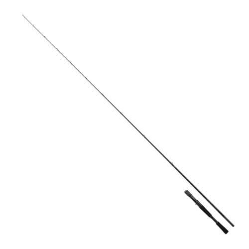 Daiwa BLACK LABEL C610M Baitcasting Rod for Bass