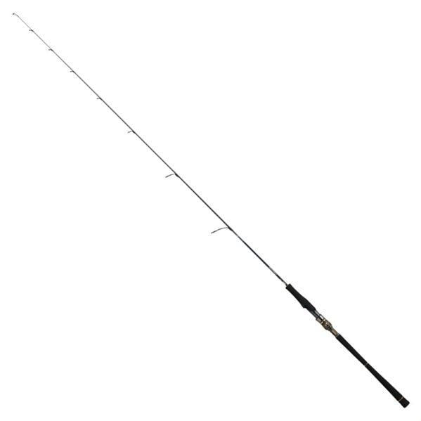 Daiwa 25 SALTIGA LJ EX 61XHS TG Spinning Rod 4550133450211 – North