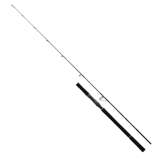 ロッド Daiwa VADEL 59HS Daiwa 25 OUTRAGE XV J 60S-3 Jigging Spinning Rod 4550133495403