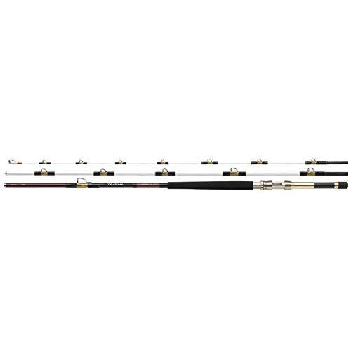 Daiwa Deep Zone MH-350 Offshore Boat Rod 4960652030342 – North-One