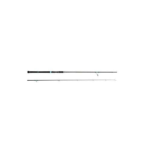 Abu Garcia Salty Style SHORE JIGGING STJS-962MH-KR Spinning Rod  0036282069473