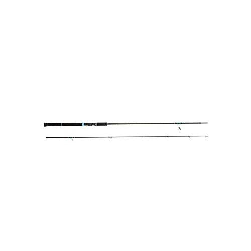 Abu Garcia Salty Style SHORE JIGGING STJS-1062MH-KR Spinning Rod