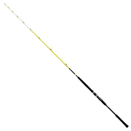 Daiwa DEEO SPS 80-180 - R Offshore Boat Rod 4550133069987 – North