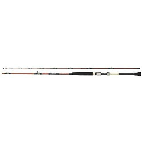 Daiwa Deep Zone 120-180 Offshore Boat Rod 4960652080767 – North