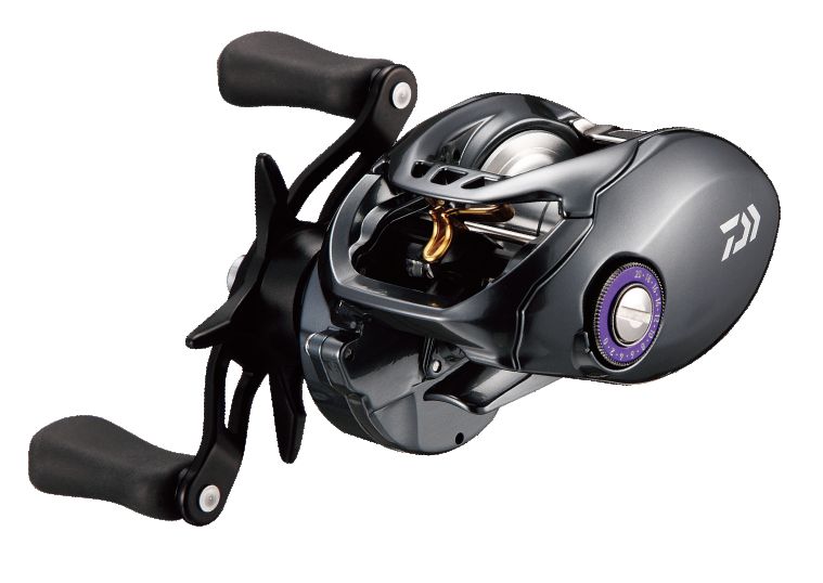 ダイワ(Daiwa) TATULA(タトゥーラ) SV TW 8.1L 左巻き 00613679