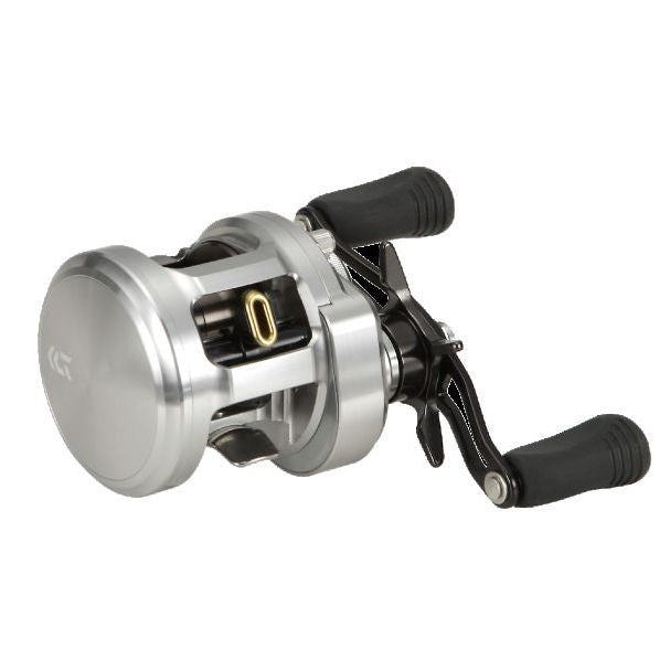 Daiwa CATALINA BAY JIGGING 100SH-L Baitcasting Reel 4960652020701