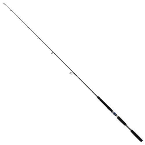 ソルティガ CJ66S-4-F Daiwa SALTIGA COASTAL COMFORT JERK JIGGING MODEL CJ66S-4-F