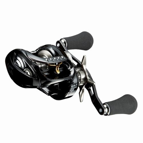 Daiwa 18 ZILLION TW HD 1520L-CC Baitcasting Reel
