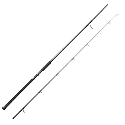 TENRYU POWER MASTER PM1002S-HP Spinning Rod 4533933022529