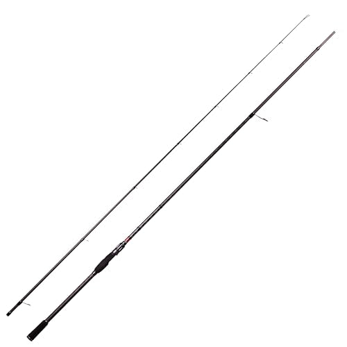Abu Garcia SALTY STYLE ROCKFISH SYRS-962H Spinning Rod 0036282036178