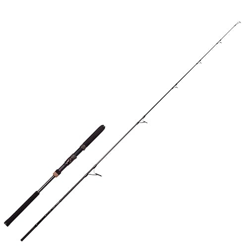 Abu Garcia OCEANFIELD JIGGING OFJS-60-MAX300 Spinning Rod 0036282036215