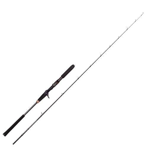 Abu Garcia OCEANFIELD JIGGING OFJC-62-MAX200 Baitcasting Rod 0036282036222