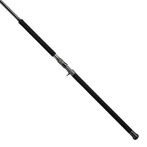 Tailwalk OKINAWA MANBIKA C100SXH Baitcasting Rod 4516508165920