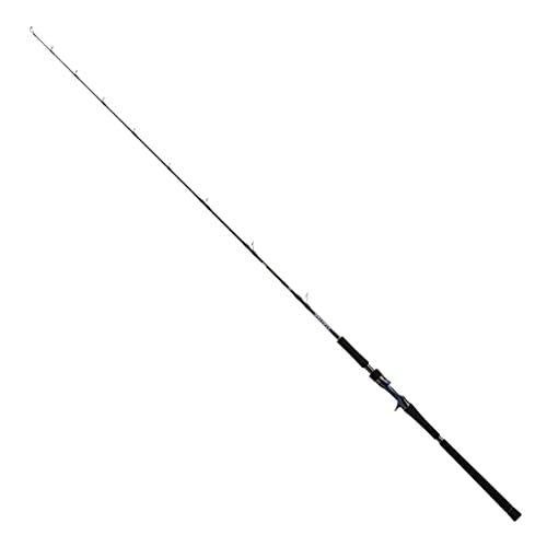 Daiwa SALTIGA R J60B-4 MD Baitcasting Rod 4550133254598