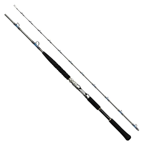 Shimano 24 BANDIT AOMONO MH205 Big Game Rod for Electric Reel 4969363272218