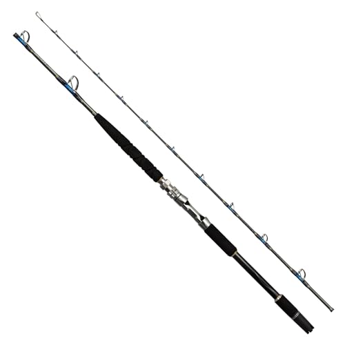 Shimano 24 BANDIT AOMONO H200 Big Game Rod for Electric Reel 4969363272232