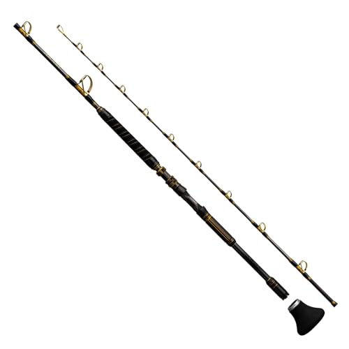 Shimano 25 ARCIERA OYOGASE MH/H200 Live Bait for Tuna Big Game Rod 4969363273352