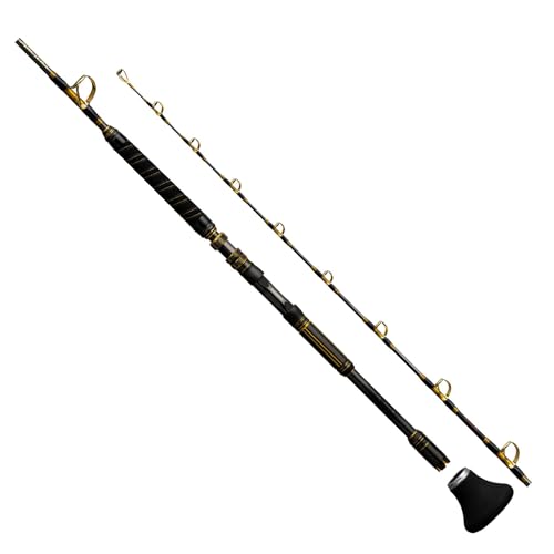 Shimano 25 ARCIERA OYOGASE MH170 Live Bait for Tuna Big Game Rod 4969363273369