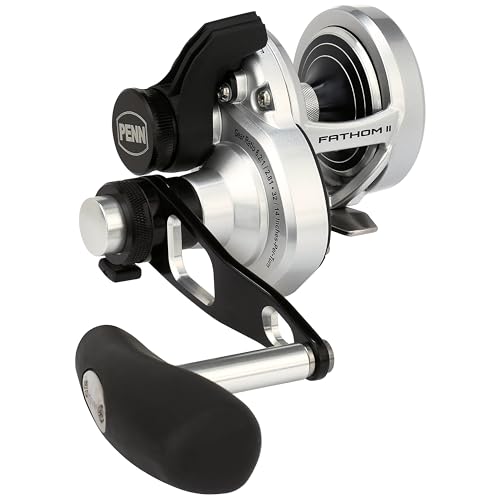 PENN International FATHOM II 2 Speed FTHII10XNLD2 FTHII10XNLD2 Baitcasting Reel 0031324283459