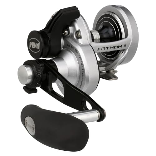 PENN International FATHOM II 2 Speed FTHII15LD2 FTHII15LD2 Baitcasting Reel 0031324283466