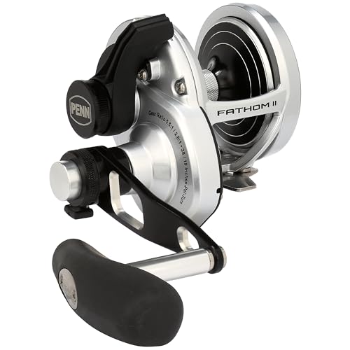 PENN International FATHOM II 2 Speed FTHII25NLD2 FTHII25NLD2 Baitcasting Reel 0031324283497