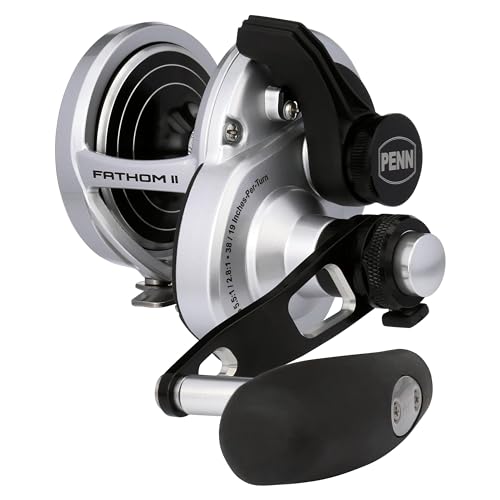 PENN International FATHOM II 2 Speed 25NLD2 LH FTHII25NLD2 Left Baitcasting Reel 0031324283503