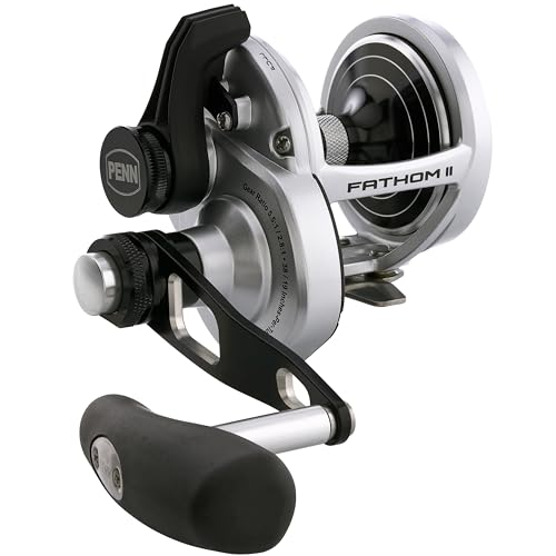 PENN International FATHOM II 2 Speed FTHII30LD2 FTHII30LD2 Baitcasting Reel 0031324283510