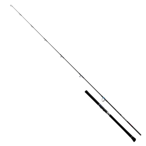 Daiwa SALTIGA BREAK THROUGH C80-5 Spinning Rod 4550133339110