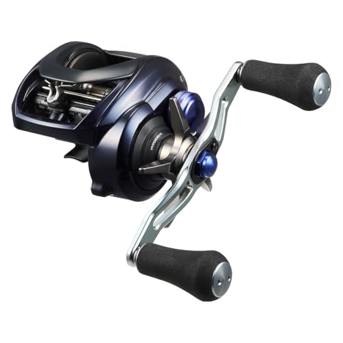 Daiwa 23 SALTIST TW 400XHL PE SPECIAL Baitcasting Reel 4550133352645