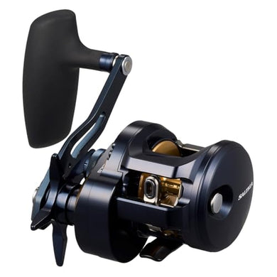 Daiwa 25 SALTIGA 300 Baitcasting Reel 4550133352850