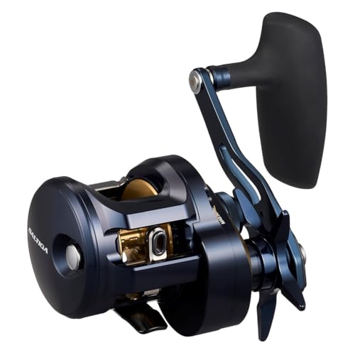 Daiwa 25 SALTIGA 300L Baitcasting Reel 4550133352867 – North-One
