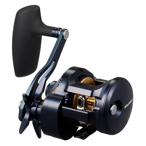 Daiwa 25 SALTIGA 300H Baitcasting Reel 4550133352874