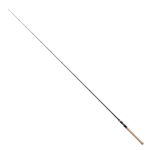 Shimano 25 EXPRIDE 173MH-LM Baitcasting Rod for Bass 4969363367310