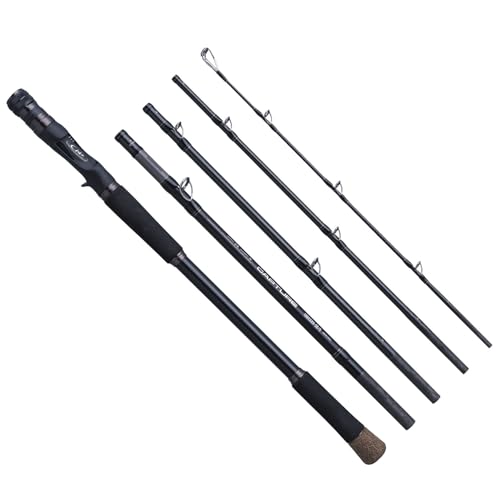 Shimano 25 CAPTURE 169XXXH-SB/5 Baitcasting Rod 4969363378422