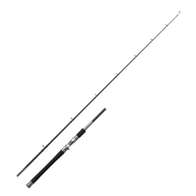 Shimano 25 Lesath 1604SS-2 Baitcasting Rod 4969363397195