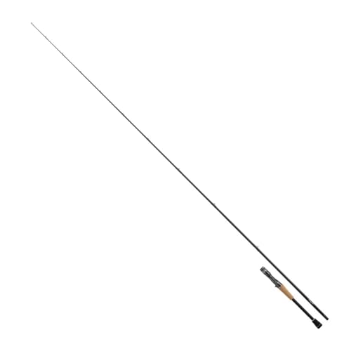 Daiwa 25 STEEZ RC C71MH-SV-ST Baitcasting Rod for Bass 4550133434143