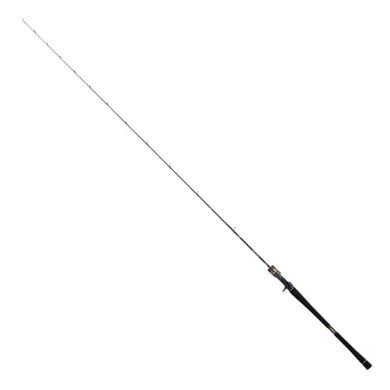 Daiwa SALTIGA LJ EX 61XHB TG Baitcasting Rod 4550133450198