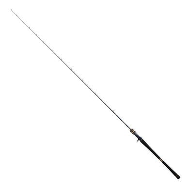 Daiwa SALTIGA LJ EX 61XXHB TG Baitcasting Rod 4550133450204
