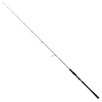 Daiwa SALTIGA LJ EX 61XHS TG Spinning Rod 4550133450211