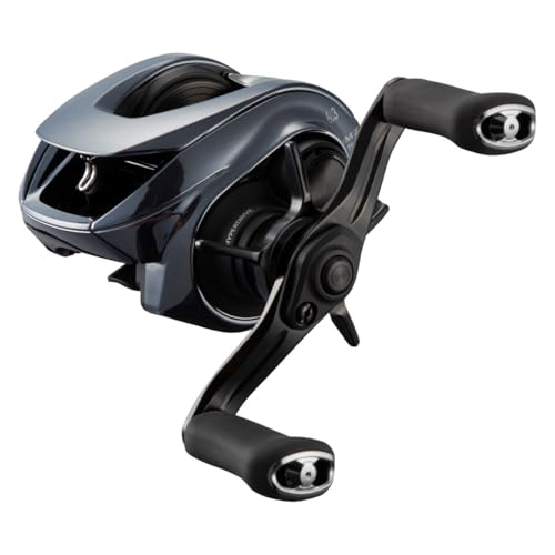 Daiwa 25 IM Z TW 100L-C Baitcasting Reel 4550133462061