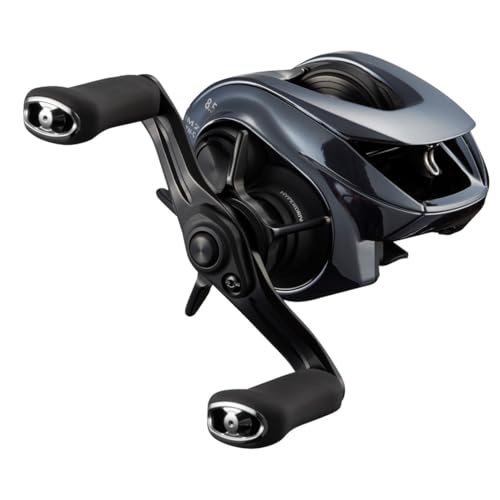 Daiwa 25 IM Z TW 100H-C Baitcasting Reel 4550133462078