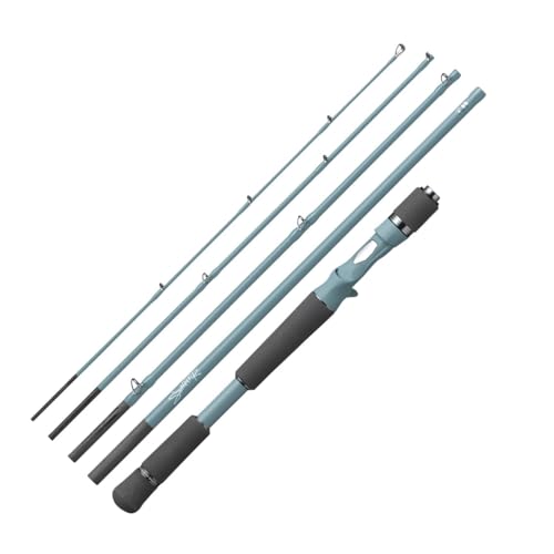 Daiwa SWAGGER C66M-5 Baitcasting Rod for Bass 4550133500237