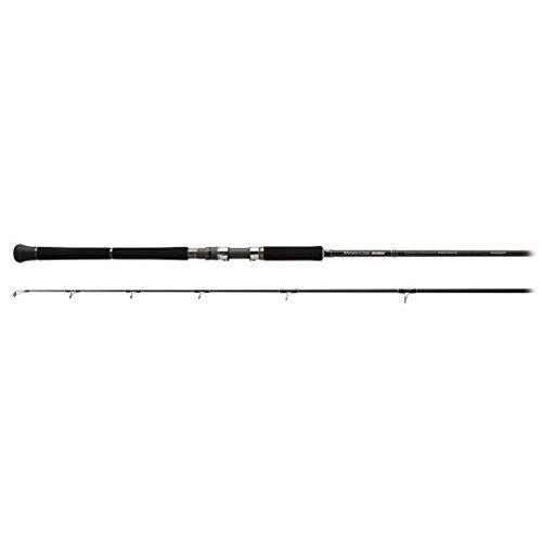 Palms Shore Gun EVOLV SFSGS-103XH Spinning Rod 4562199811226